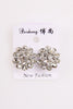 Silver round diamante earrings 