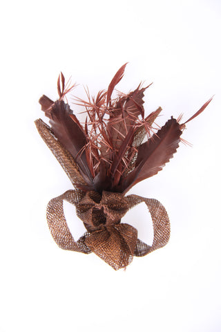 Bow Feathers Clip On Fascinator in Brown