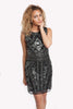 Sequin Embellished Round neck Party Dress